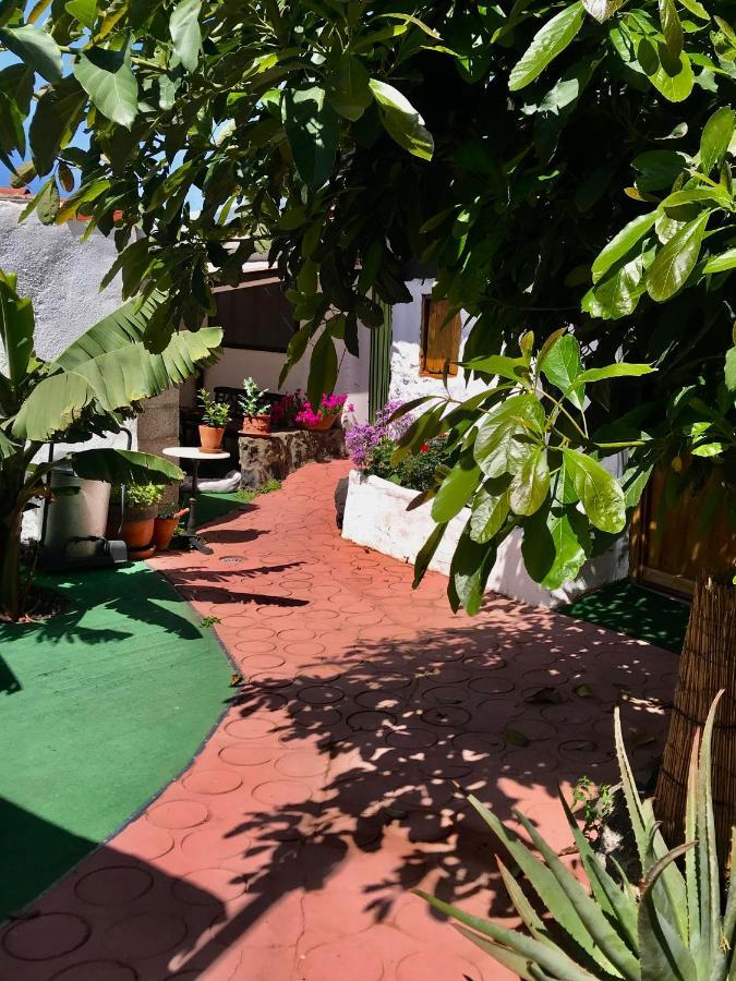 Finca Casa Madera 1 Icod De Los Vinos Buitenkant foto