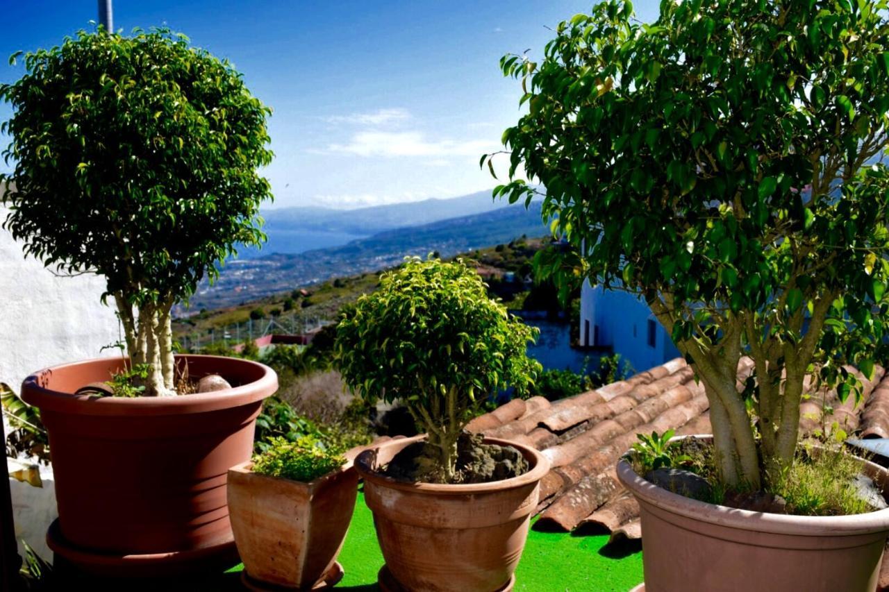 Finca Casa Madera 1 Icod De Los Vinos Buitenkant foto